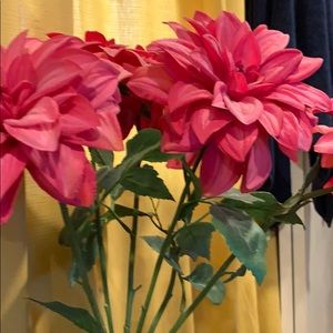 Meet your Posher, Annette